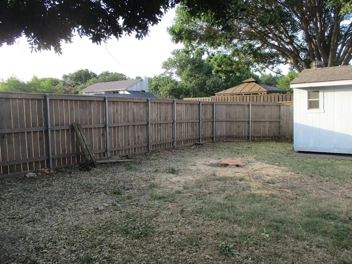 Cleared yard after professional tree removal in Milnesand